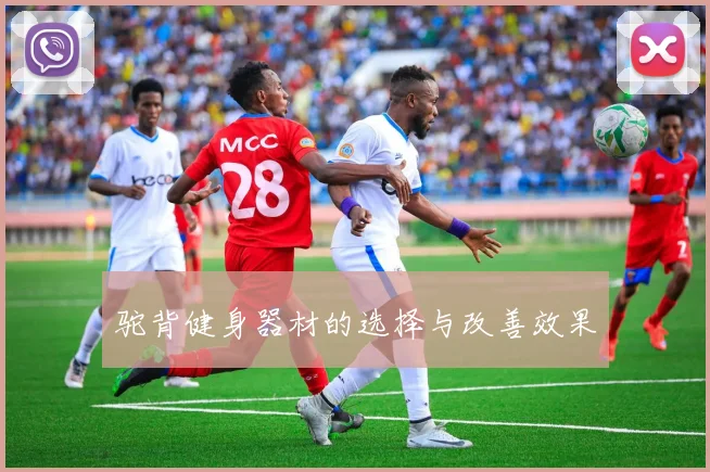 驼背健身器材的选择与改善效果