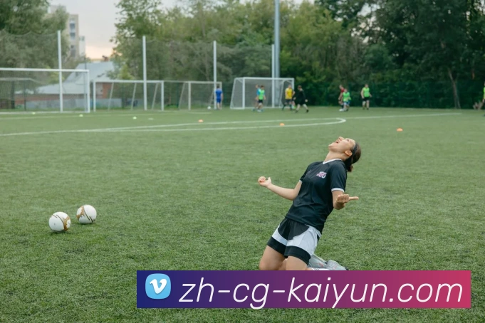 开云app平台生态图