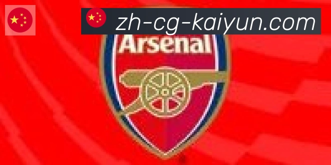 开云APP合作伙伴